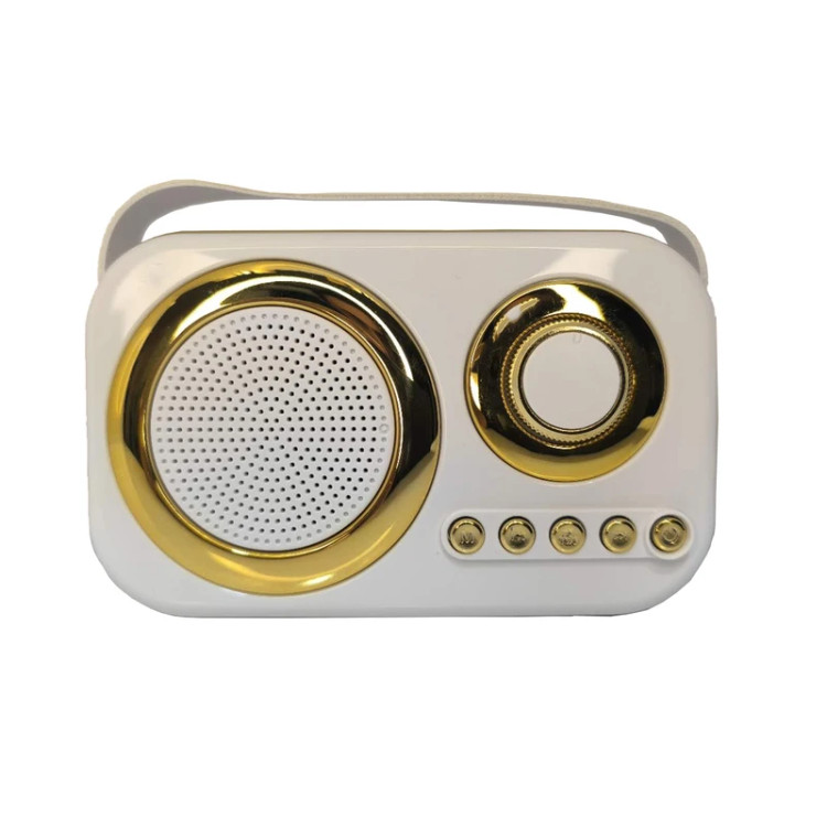 اسپیکر قابل حمل Sing-e مدل ZQS1219