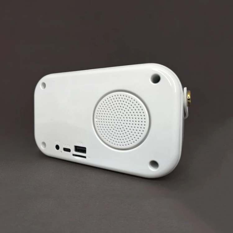 اسپیکر قابل حمل Sing-e مدل ZQS1219